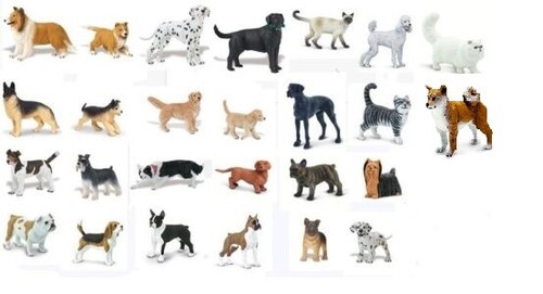 Safari hunde und - hunde,